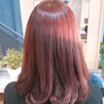 今日もイルミナカラー