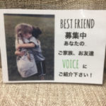 お友達紹介して下さい！