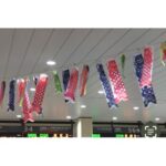 鯉のぼり　三田ひて子