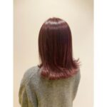 チェリーピンク【津田晴加】