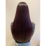 ピンクバイオレット　【大塚礼乃】