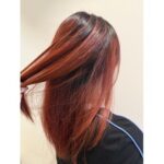 シャドウルーツ　【大塚礼乃】