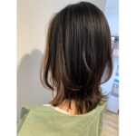 ミディアムレイヤー