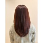 イルミナコーラル【津田晴加】